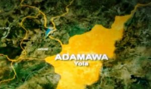 Adamawa: Farmer Loses Left Hand After Clash With Herdsman