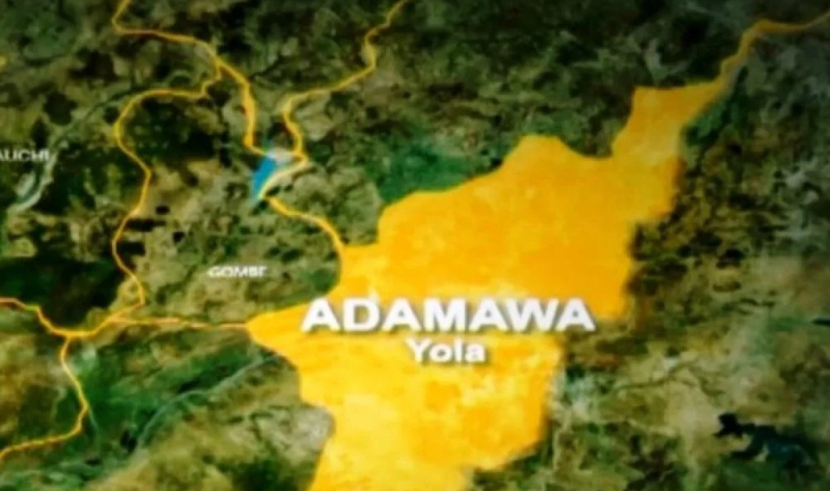 Adamawa: Farmer Loses Left Hand After Clash With Herdsman