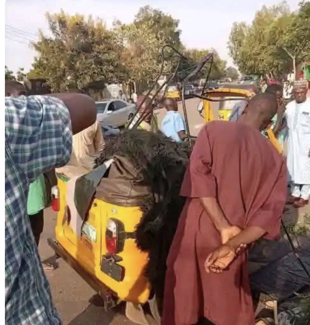 5 siblings lose their lives as tanker rams into tricycle in Gombe